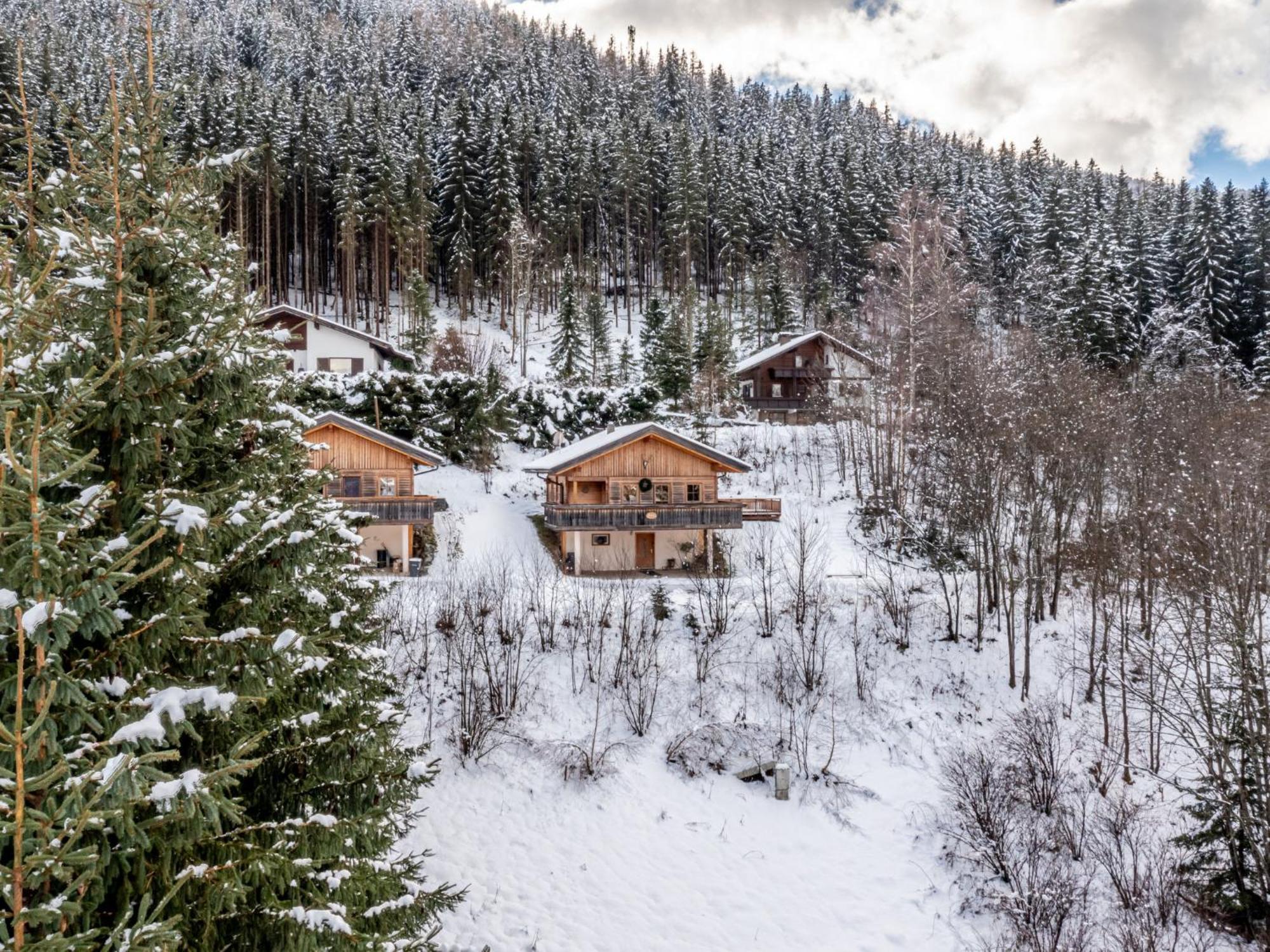 Chalet Chalet Venus By Interhome Patergassen Zewnętrze zdjęcie